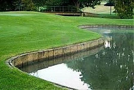 Image of a water hazard on a golf course.